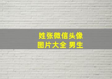 姓张微信头像图片大全 男生